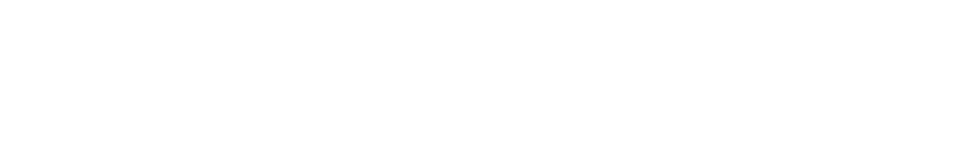 Orlando Web Services.ai